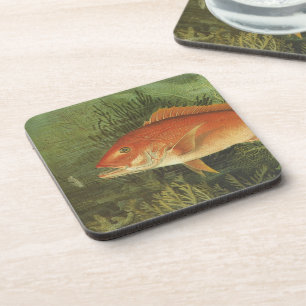 Roter Schnapper Fisch von Kilbourne, Vintage Meere Getränkeuntersetzer