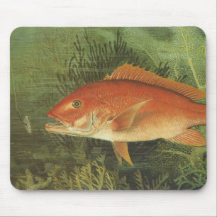 Roter Schnapper Fisch von Kilbourne, Vintage Meere Mousepad