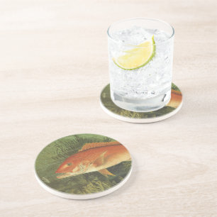 Roter Schnapperfisch von Kilbourne, Vintage Meeres Sandstein Untersetzer