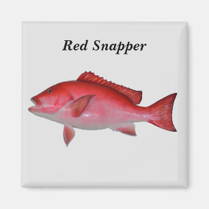 Roter Schnappfisch Magnet