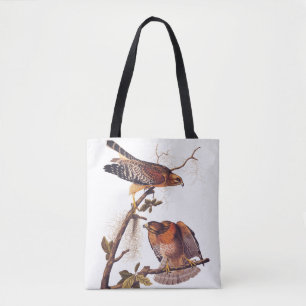 Roter Schulter Hawk Audubon Bird of Prey