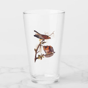 Roter Schulter Hawk Audubon Bird of Prey Glas