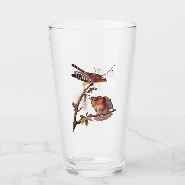 Roter Schulter Hawk Audubon Bird of Prey Glas (Vorderseite)