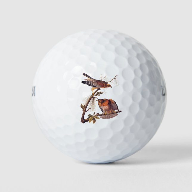 Roter Schulter Hawk Audubon Bird of Prey Golfball (Vorderseite)