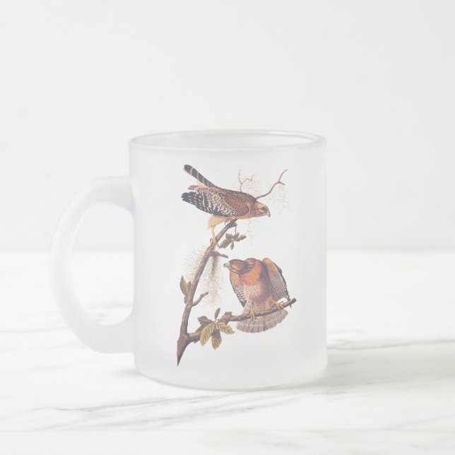 Roter Schulter Hawk Audubon Bird of Prey Mattglastasse (Links)