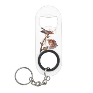 Roter Schulter Hawk Audubon Bird of Prey Mini Flaschenöffner
