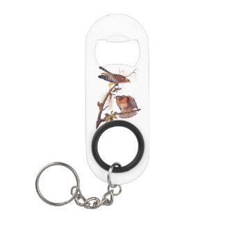 Roter Schulter Hawk Audubon Bird of Prey Mini Flaschenöffner