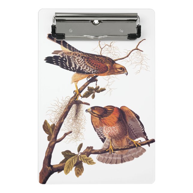 Roter Schulter Hawk Audubon Bird of Prey Mini Klemmbrett (Vorderseite)