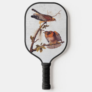 Roter Schulter Hawk Audubon Bird of Prey Pickleball Schläger