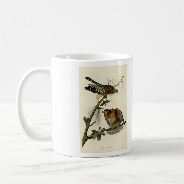 Roter Schulter Hawk - Audubons Vögel in Amerika Kaffeetasse (Links)