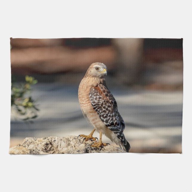 Roter Schulter-Hawk auf einem Felsen Handtuch (Horizontal)