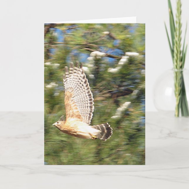 Roter Schulter Hawk in Flugfotografie-Design Karte (Vorderseite)
