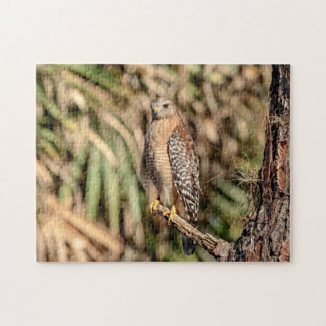 Roter Schulterhawk in einem Baum Puzzle (Horizontal)