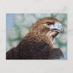 Roter Schwanz-Hawk-Airbrush Postkarte