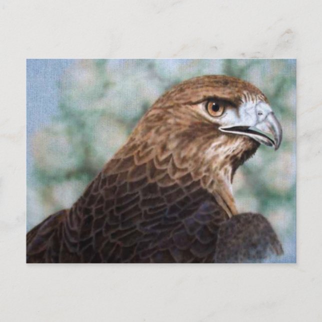 Roter Schwanz-Hawk-Airbrush Postkarte (Vorderseite)