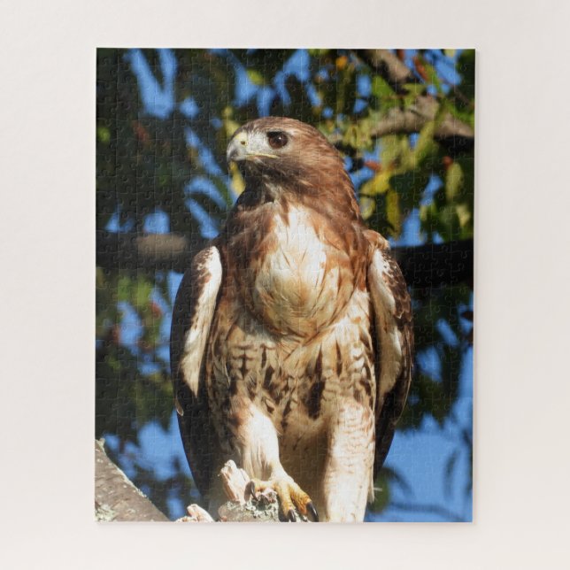 Roter Schwanz Hawk, Raubvogel Puzzle (Vertikal)