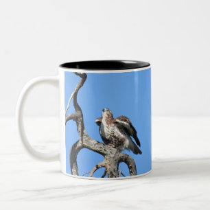 Roter Schwanz Hawk, Raubvogel Zweifarbige Tasse