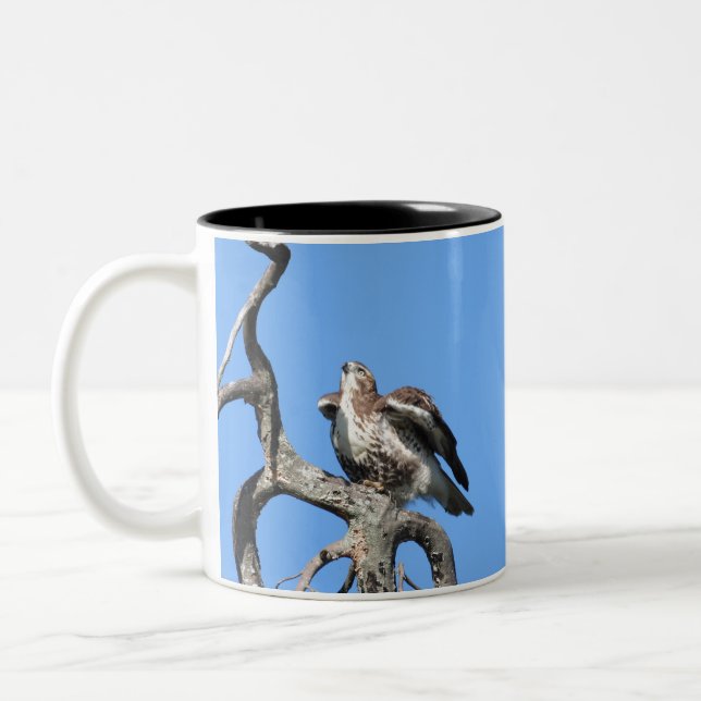 Roter Schwanz Hawk, Raubvogel Zweifarbige Tasse (Links)