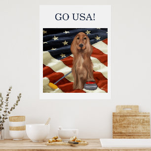 ROTER SETTER CURLING  POSTER
