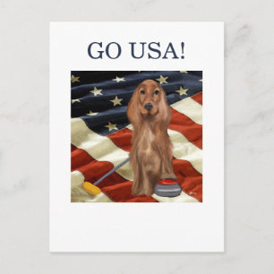 ROTER SETTER CURLING  POSTKARTE