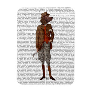 Roter Setzer-Reiter voll Magnet