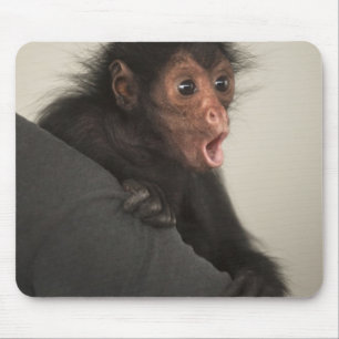 Roter Spinne Ateles paniscus) Mousepad