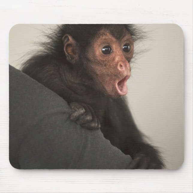 Roter Spinne Ateles paniscus) Mousepad (Vorne)