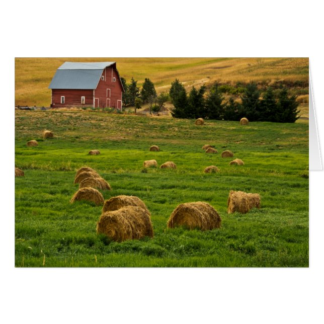 Roter Stall, Heu-Ballen, Albion, Palouse-Gebiet 2 (Vorderseite (Horizontal))