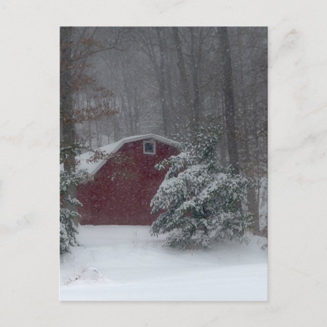Roter Stall im Schnee Postkarte (Vorderseite)