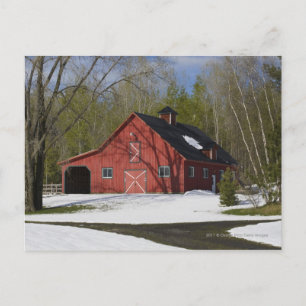 Roter Stall im Winter Postkarte