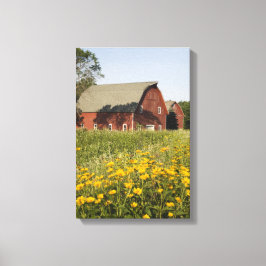 Roter Stall mit gelben Wildblumen Leinwanddruck