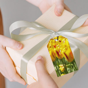 Roter Streifen Geschenkanhänger