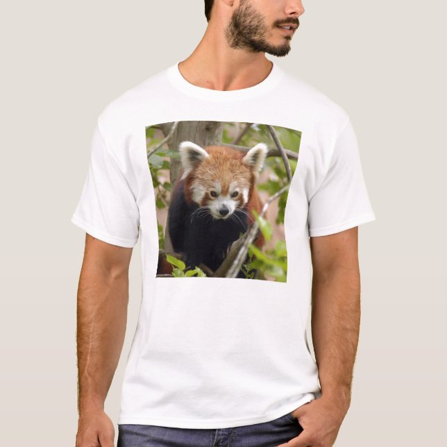 Roter T - Shirt Panda-023 (Vorderseite)