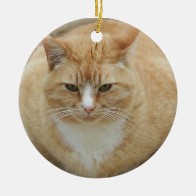 Roter Tabby Keramikornament (Vorne)