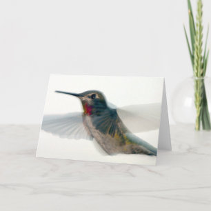 Roter Throter Hummingvogel Karte