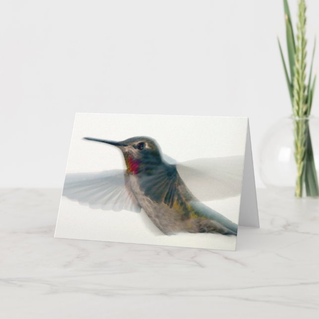 Roter Throter Hummingvogel Karte (Vorderseite)