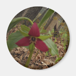 Roter Trillium Magnet