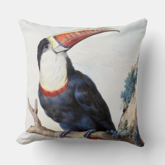 Roter Tucan (1748) von Aert Schouman Kissen (Vorderseite)