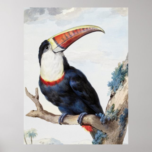 Roter Tucan (1748) von Aert Schouman Poster (Vorne)