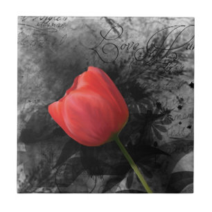 Roter Tulip Fliese