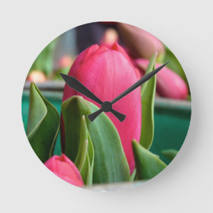 Roter Tulip in der Frühlingsmauer Runde Wanduhr