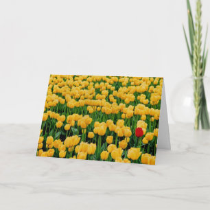 Roter Tulip in einem Gelbtupffeld Karte