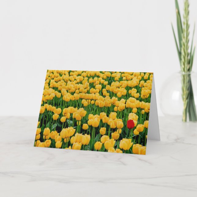 Roter Tulip in einem Gelbtupffeld Karte (Vorderseite)