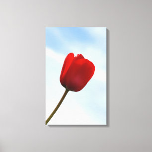 Roter Tulpen-Wrapped-Canvas Leinwanddruck