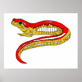 Roter und Gelber Salamander Poster