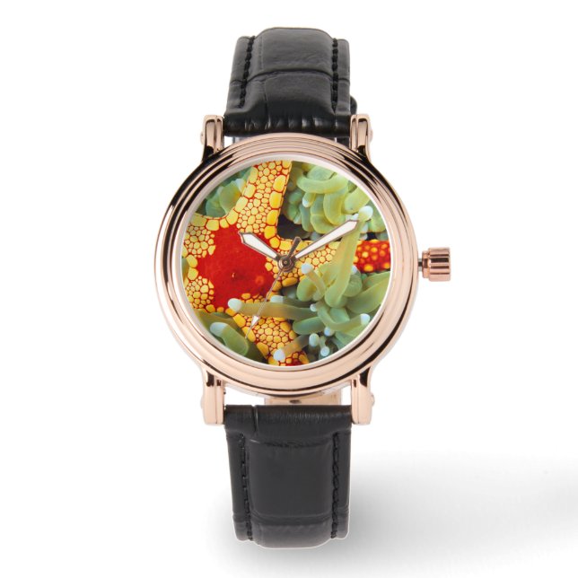 Roter und Gelber Seestern Armbanduhr (Vorderseite)