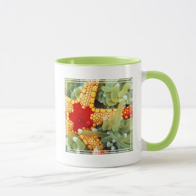 Roter und gelber Seestern Tasse (Rechts)