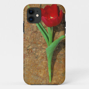 Roter und Gelber Tulip iPhone 11 Hülle