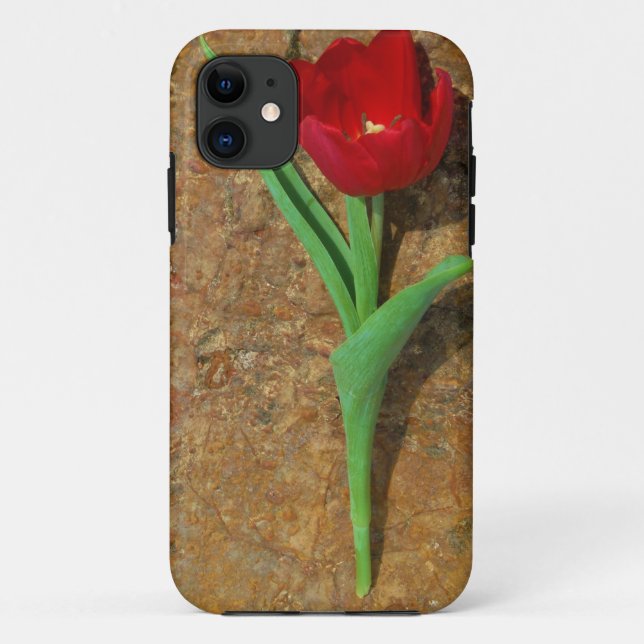 Roter und Gelber Tulip Case-Mate iPhone Hülle (Rückseite)