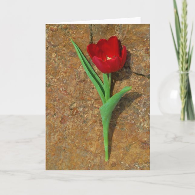 Roter und Gelber Tulip Feiertagskarte (Vorderseite)